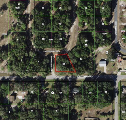 8549 N SAN FILIPPO LOOP, Crystal River, FL 34428