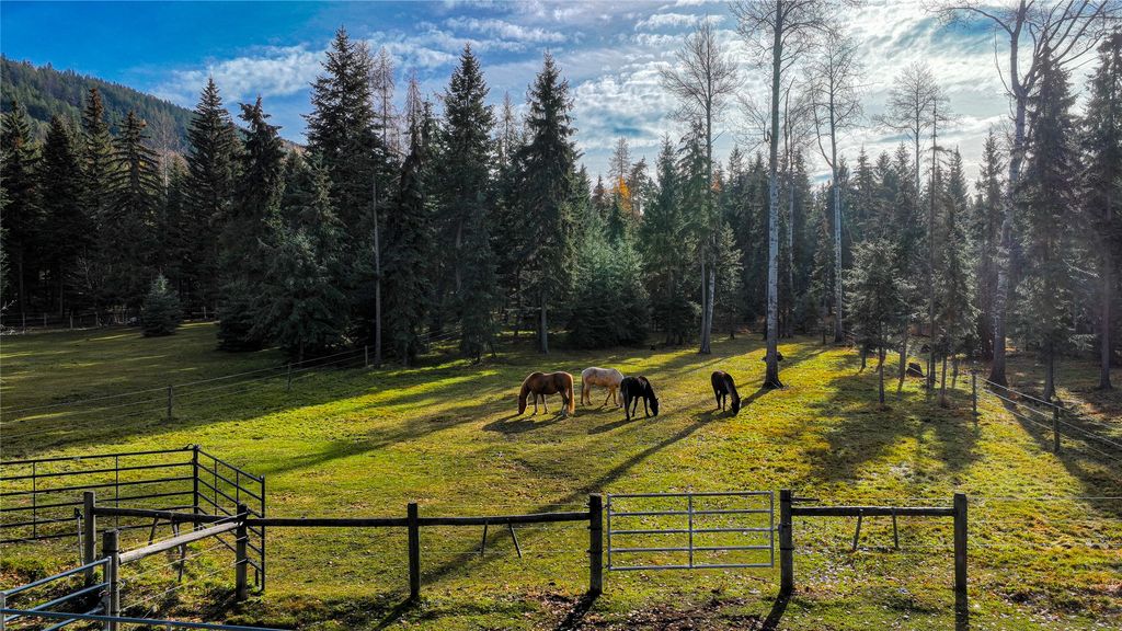 2503 Wild Bill Road, Kila, MT 59920 photo 3