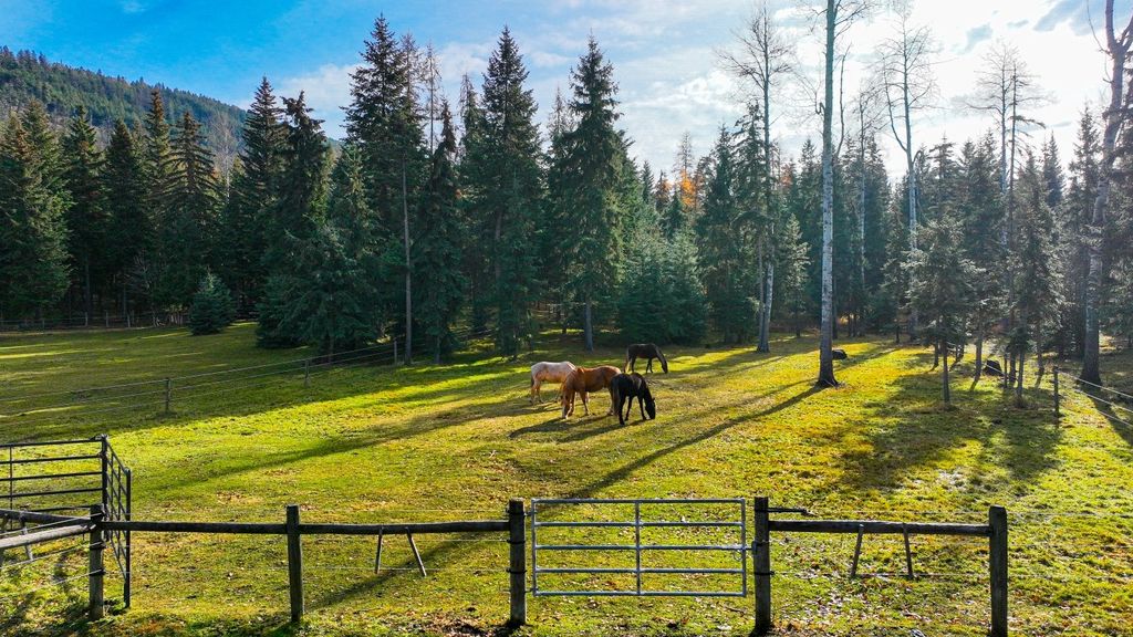 2503 Wild Bill Road, Kila, MT 59920 photo 46