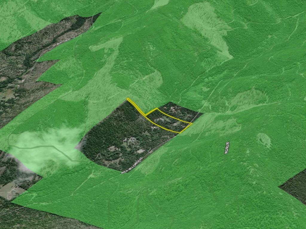 2503 Wild Bill Road, Kila, MT 59920 photo 56