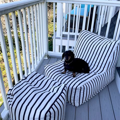 9 Chase Avenue U-6, Dennis Port, MA 02639