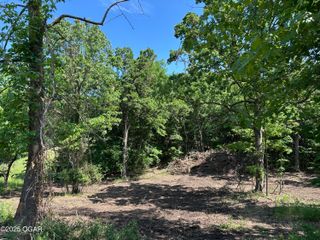 lot 30 Shoal Creek Estates 30, Joplin, MO 64804