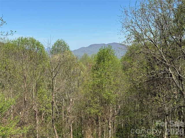 1618 Walnut Creek Road, Waynesville, NC 28786