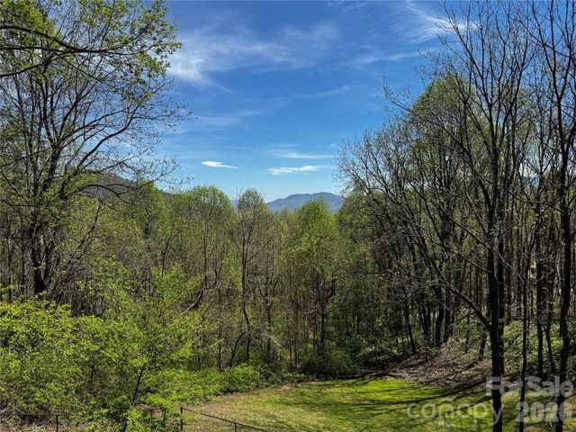 1618 Walnut Creek Road, Waynesville, NC 28786