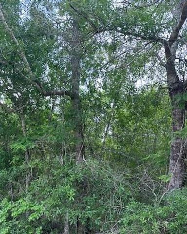 TBD 4 County Road 2223-B, Cleveland, TX 77327