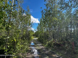 13468 W Cherrywood Drive, Big Lake, AK 99652