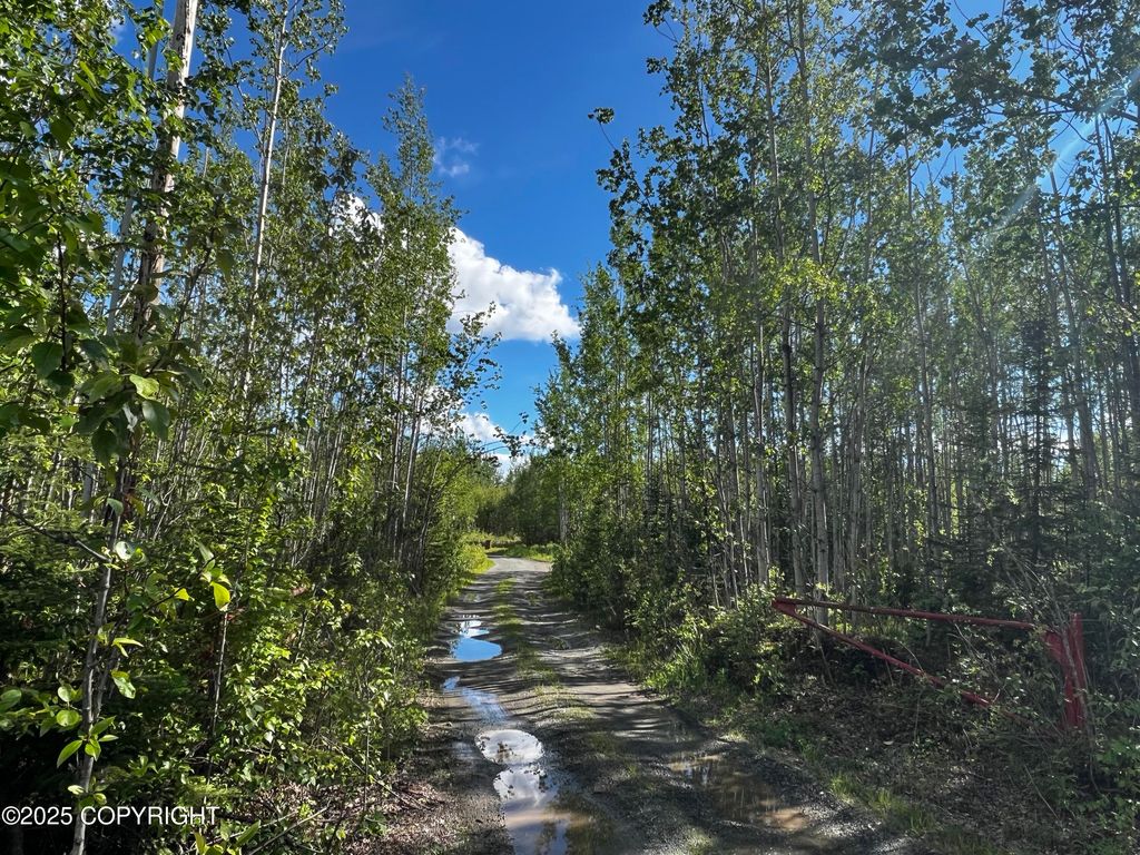 13468 W Cherrywood Drive, Big Lake, AK 99652