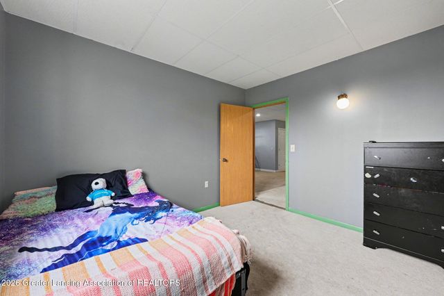 900 Dakin Road, Dansville, MI 48819