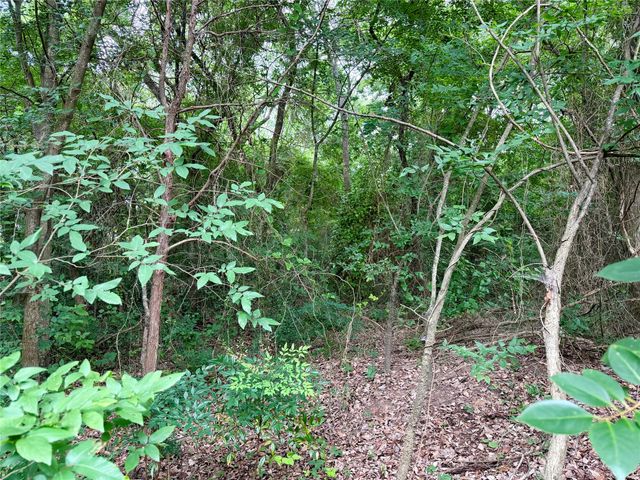 0 Garner Drive, Mabank, TX 75156