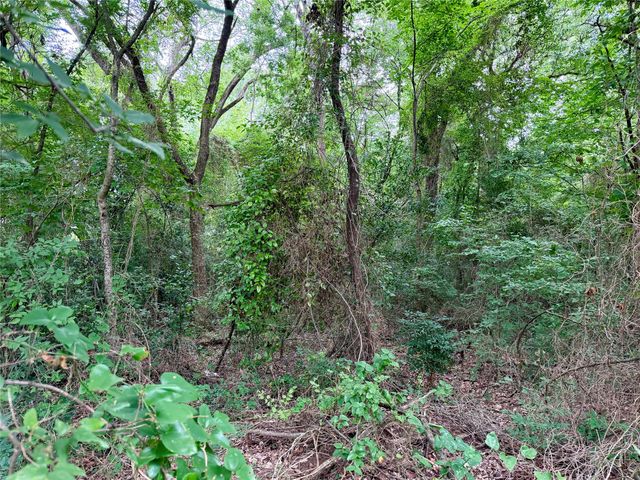 0 Garner Drive, Mabank, TX 75156