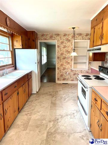 100 Davis Street, Chesterfield, SC 29709