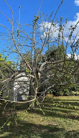 1475 NW 19 ST, Homestead, FL 33030