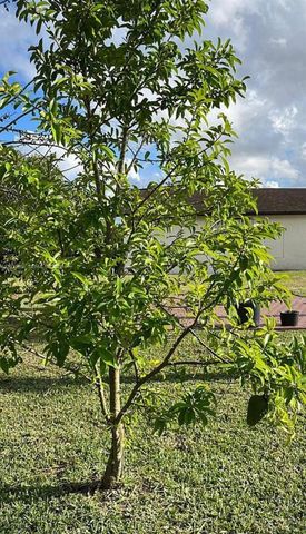 1475 NW 19 ST, Homestead, FL 33030