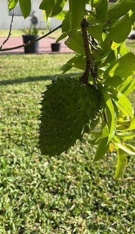 1475 NW 19 ST, Homestead, FL 33030