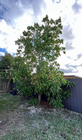 1475 NW 19 ST, Homestead, FL 33030