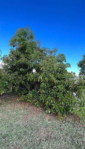 1475 NW 19 ST, Homestead, FL 33030