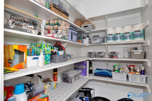 110 Kinslee Leann Court, Meridianville, AL 35759