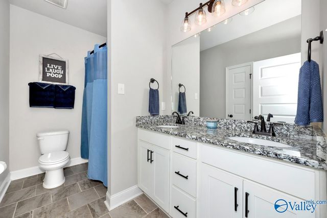 110 Kinslee Leann Court, Meridianville, AL 35759