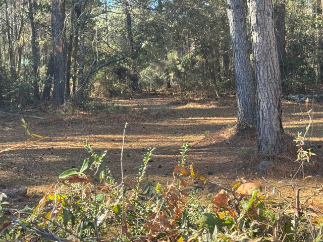 1002 Poplar Street, Walterboro, SC 29488