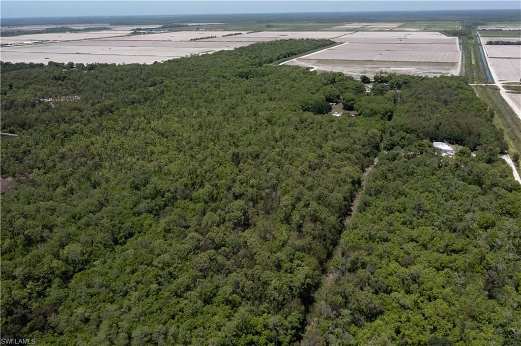 Lager Lane, NAPLES, FL 34114 — photo 4
