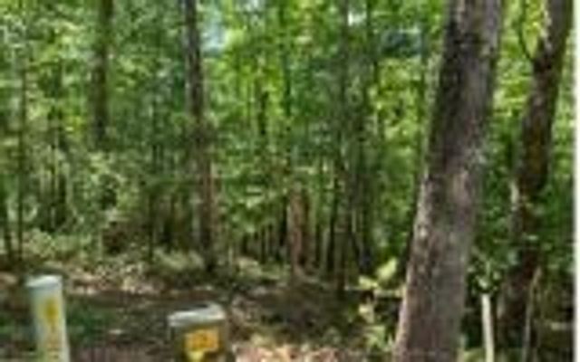 0 Ashlyn Court, Morganton, GA 30560