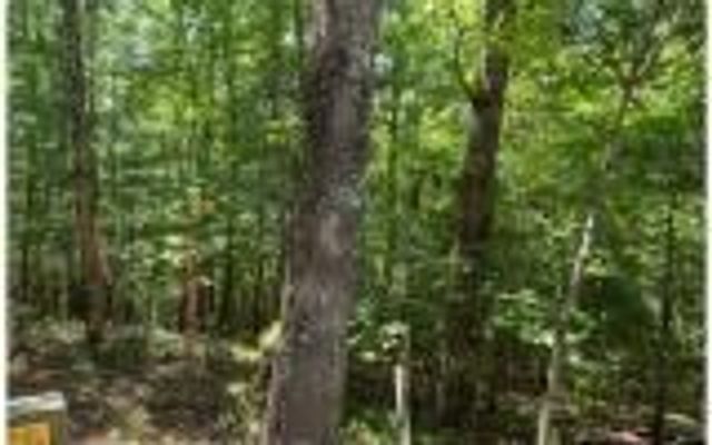 0 Ashlyn Court, Morganton, GA 30560