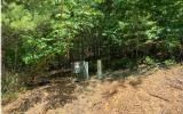 0 Ashlyn Court, Morganton, GA 30560