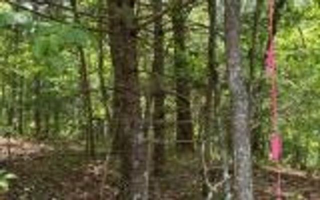 0 Ashlyn Court, Morganton, GA 30560