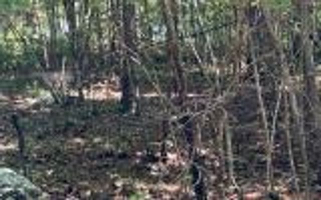 0 Ashlyn Court, Morganton, GA 30560