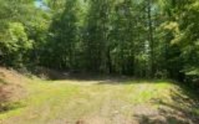 0 Ashlyn Court, Morganton, GA 30560