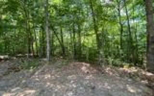 0 Ashlyn Court, Morganton, GA 30560