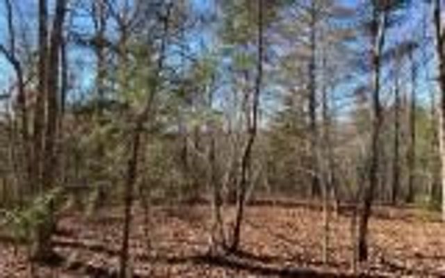 0 Ashlyn Court, Morganton, GA 30560