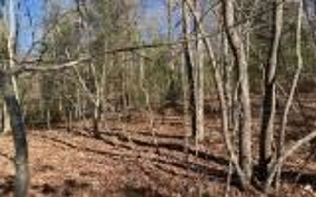 0 Ashlyn Court, Morganton, GA 30560