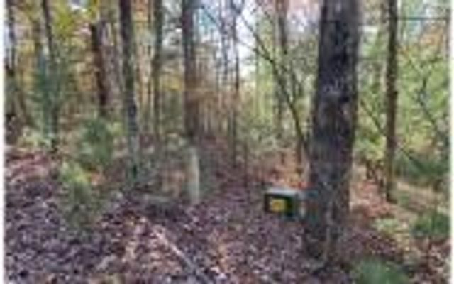 0 Ashlyn Court, Morganton, GA 30560