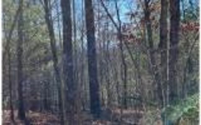 0 Ashlyn Court, Morganton, GA 30560