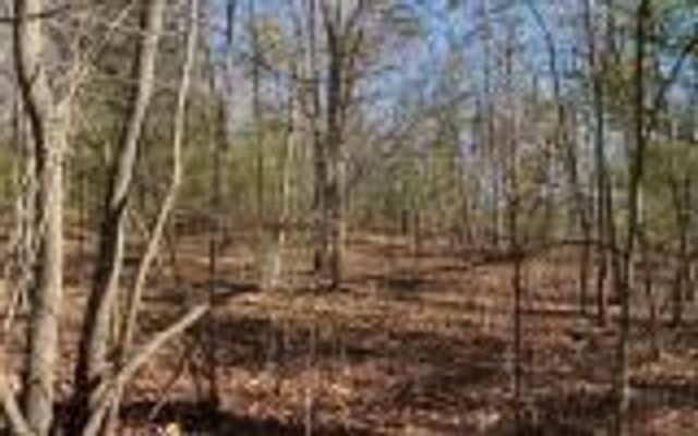 0 Ashlyn Court, Morganton, GA 30560