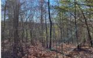 0 Ashlyn Court, Morganton, GA 30560