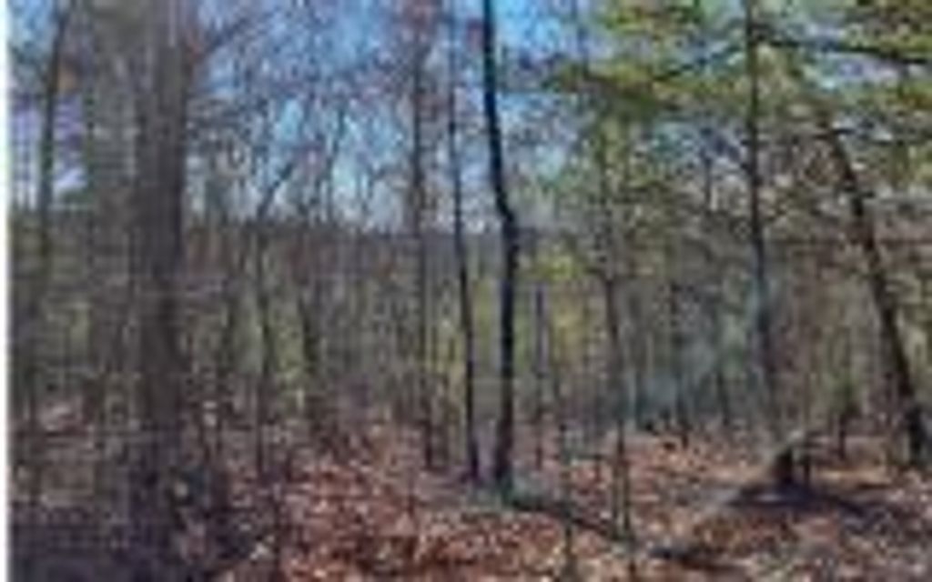 0 Ashlyn Court, Morganton, GA 30560