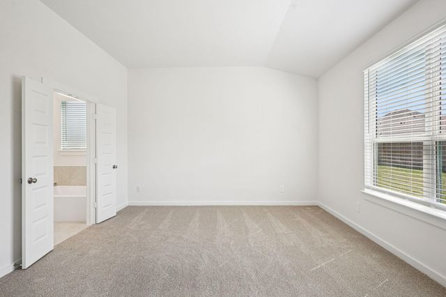 17418 Butterfly Orchid Lane, Waller, TX 77484