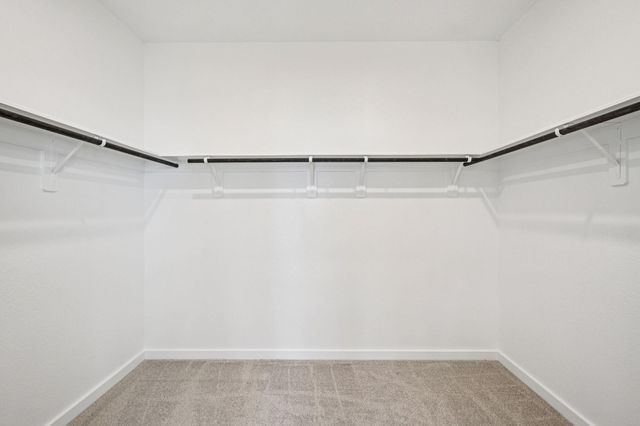 17418 Butterfly Orchid Lane, Waller, TX 77484