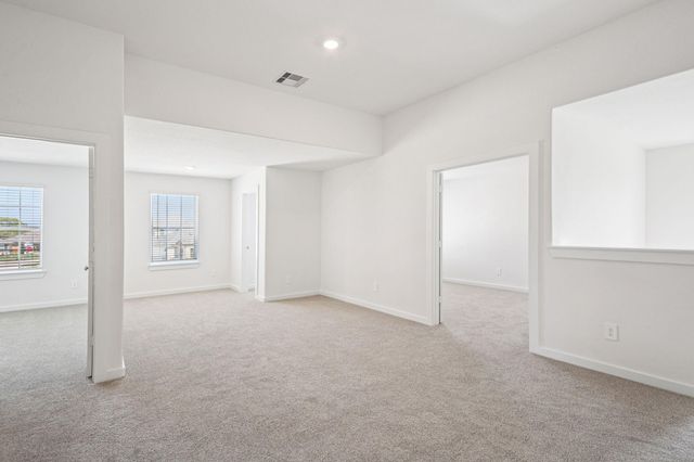 17418 Butterfly Orchid Lane, Waller, TX 77484