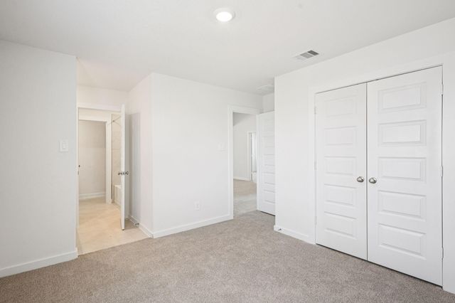 17418 Butterfly Orchid Lane, Waller, TX 77484