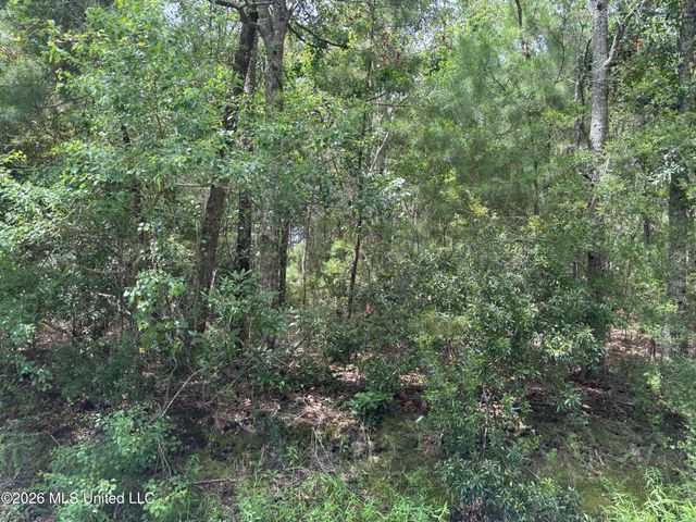 Saint Charles Street, Bay Saint Louis, MS 39520