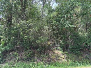 Saint Charles Street, Bay Saint Louis, MS 39520