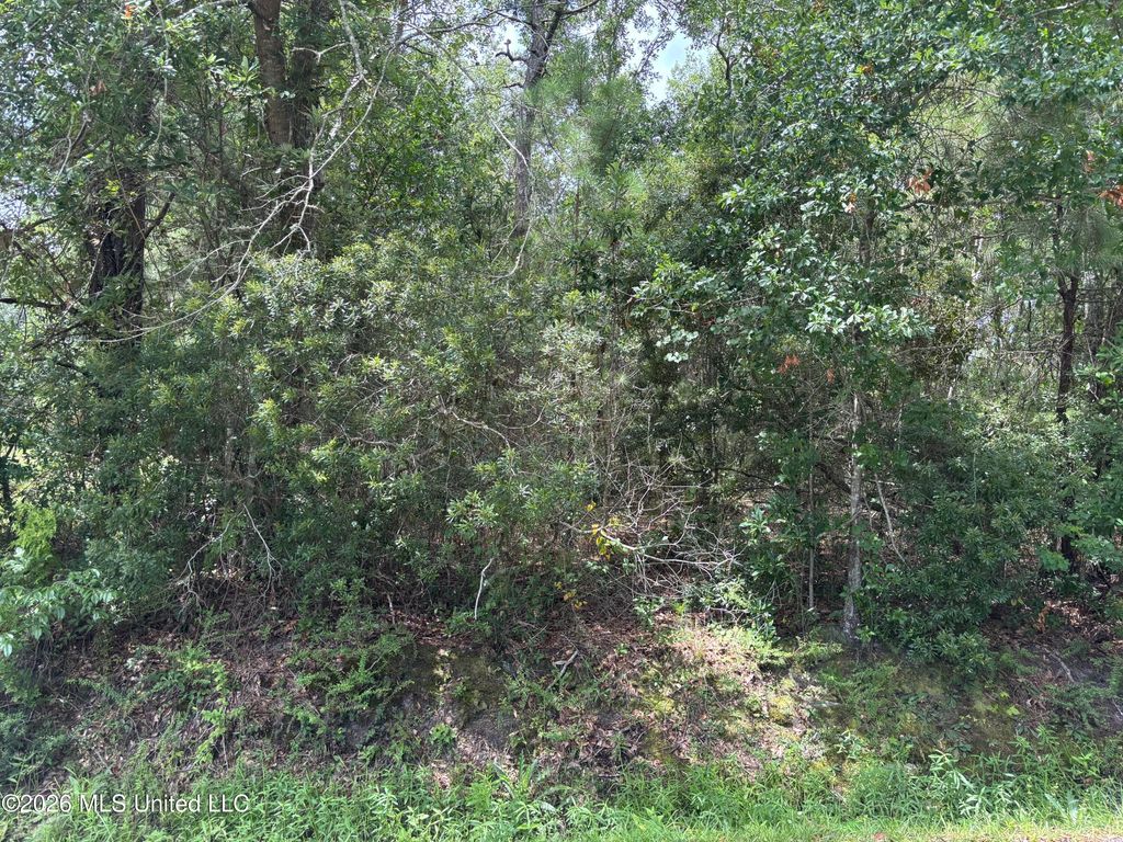 Saint Charles Street, Bay Saint Louis, MS 39520