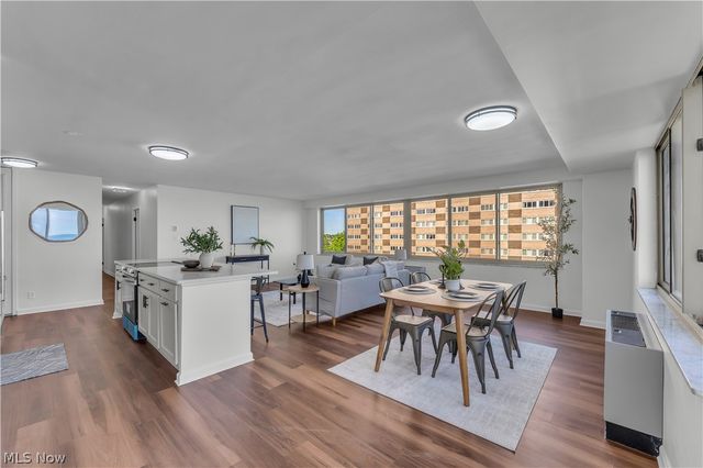 12520 Edgewater Drive 1005, Lakewood, OH 44107