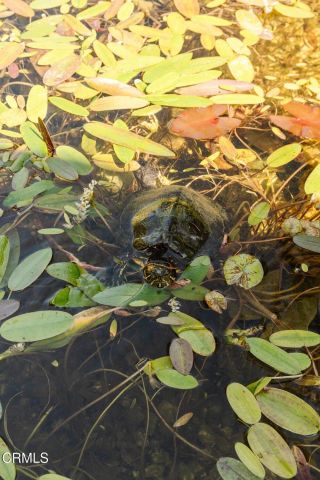 1300 Meadowbrook Road, Altadena, CA 91001