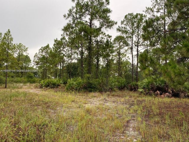 2321 Macarthur Ave, Lehigh Acres, FL 33920