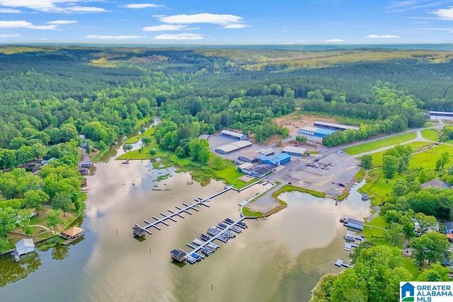 451 PARADISE POINT DRIVE, Columbiana, AL 35051