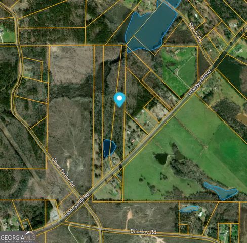 478 Liberty Hill Road, Milner, GA 30257